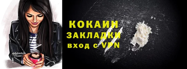 прущие грибы Наволоки