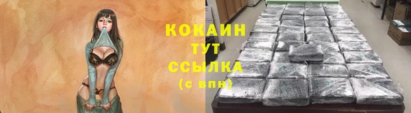 гидропоника Михайлов