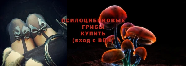 2c-b Надым