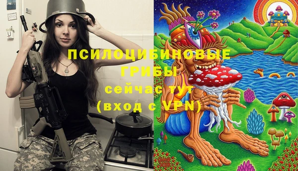 прущие грибы Наволоки