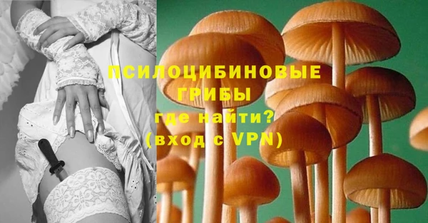 2c-b Надым