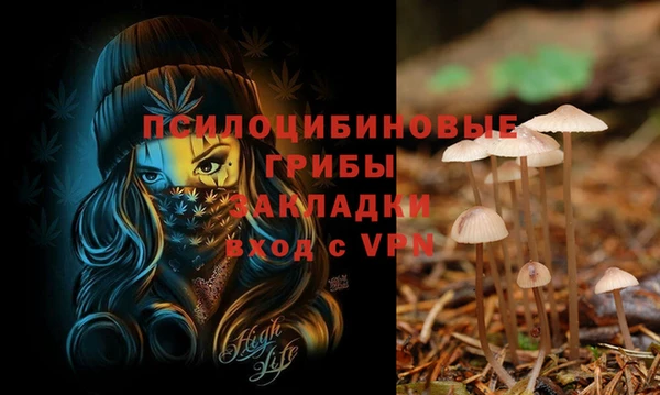 СК Навашино