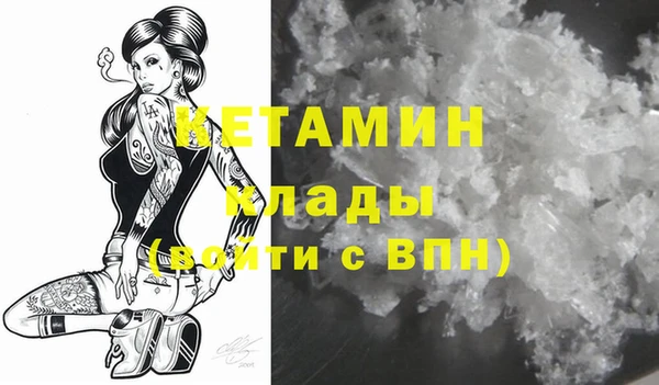 прущие грибы Наволоки