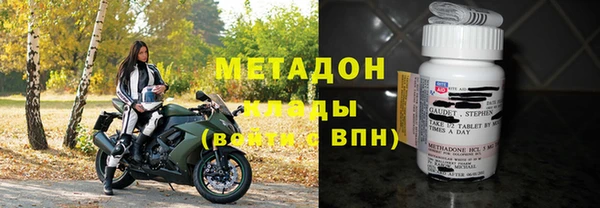 прущие грибы Наволоки