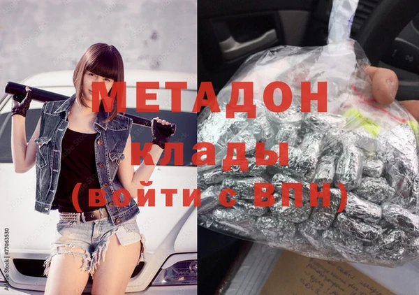 прущие грибы Наволоки