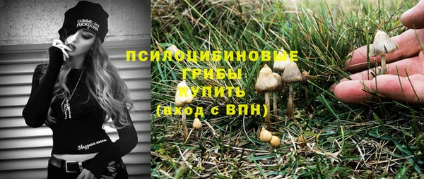 СК Навашино