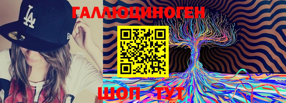 Псилоцибиновые грибы Cubensis  Брянск 