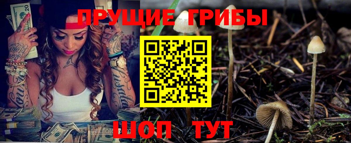 Псилоцибиновые грибы Psilocybe  как найти закладки  Брянск  Вход с VPN  Галлюциногенные грибы Cubensis 