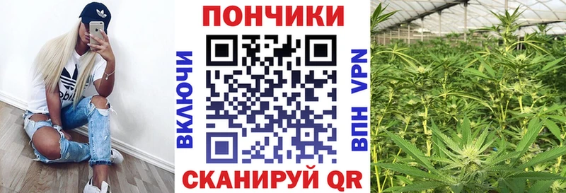 дарнет шоп  Брянск  гидра маркетплейс  Бошки марихуана LSD WEED 