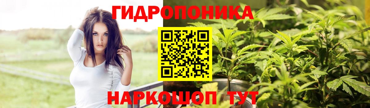 Каннабис MAZAR Брянск